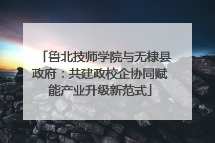 鲁北技师学院与无棣县政府：共建政校企协同赋能产业升级新范式