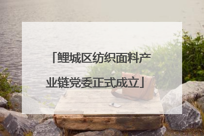 鲤城区纺织面料产业链党委正式成立