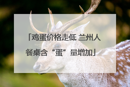 鸡蛋价格走低 兰州人餐桌含“蛋”量增加