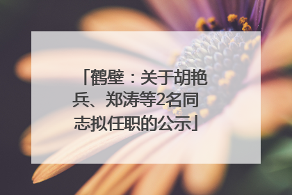 鹤壁：关于胡艳兵、郑涛等2名同志拟任职的公示