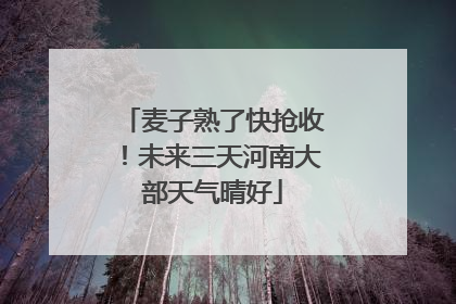麦子熟了快抢收！未来三天河南大部天气晴好