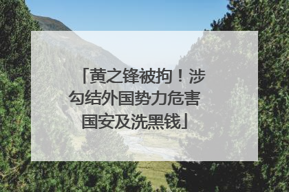 黄之锋被拘！涉勾结外国势力危害国安及洗黑钱