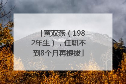 黄双燕（1982年生），任职不到8个月再提拔