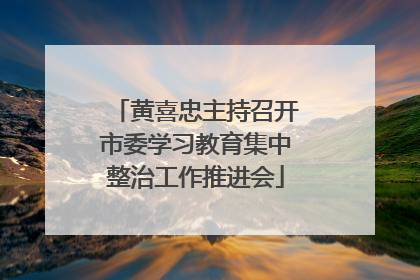 黄喜忠主持召开市委学习教育集中整治工作推进会