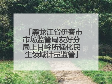 黑龙江省伊春市市场监管局友好分局上甘岭所强化民生领域计量监管