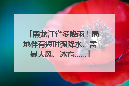 黑龙江省多降雨！局地伴有短时强降水、雷暴大风、冰雹……