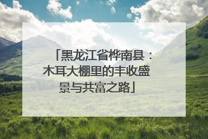 黑龙江省桦南县：木耳大棚里的丰收盛景与共富之路