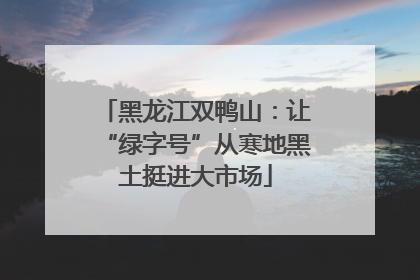 黑龙江双鸭山：让“绿字号”从寒地黑土挺进大市场