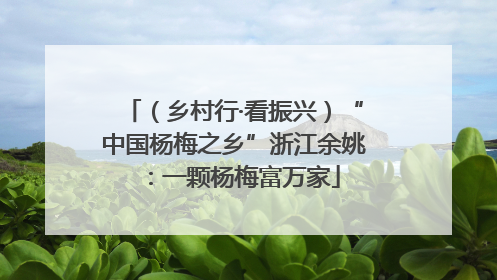 （乡村行·看振兴）“中国杨梅之乡”浙江余姚：一颗杨梅富万家