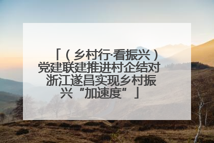 （乡村行·看振兴）党建联建推进村企结对 浙江遂昌实现乡村振兴“加速度”