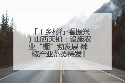 （乡村行·看振兴）山西天镇：设施农业“棚”勃发展 辣椒产业蓄势待发