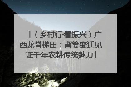 （乡村行·看振兴）广西龙脊梯田：背篓变迁见证千年农耕传统魅力
