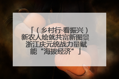 （乡村行·看振兴）新农人绘就共富新图景 浙江庆元统战力量赋能“海拔经济”