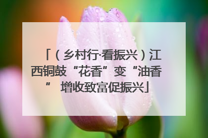 （乡村行·看振兴）江西铜鼓“花香”变“油香” 增收致富促振兴