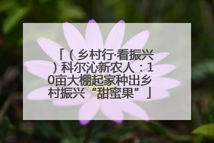 （乡村行·看振兴）科尔沁新农人：10亩大棚起家种出乡村振兴“甜蜜果”