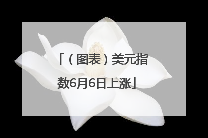 （图表）美元指数6月6日上涨