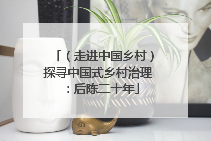 （走进中国乡村）探寻中国式乡村治理：后陈二十年