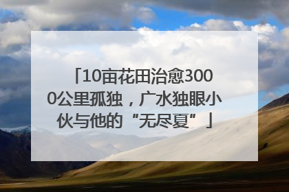 10亩花田治愈3000公里孤独，广水独眼小伙与他的“无尽夏”