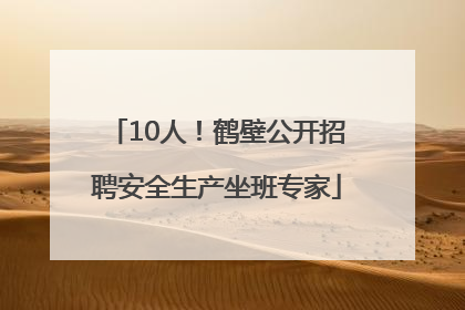 10人！鹤壁公开招聘安全生产坐班专家