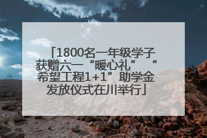 1800名一年级学子获赠六一“暖心礼” “希望工程1+1”助学金发放仪式在川举行