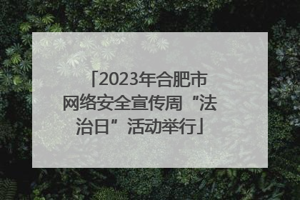 2023年合肥市网络安全宣传周“法治日”活动举行