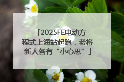 2025FE电动方程式上海站起跑，老将新人各有“小心思”