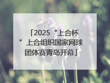 2025“上合杯”上合组织国家网球团体赛青岛开幕
