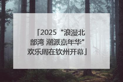 2025“浪漫北部湾 潮派嘉年华”欢乐周在钦州开幕