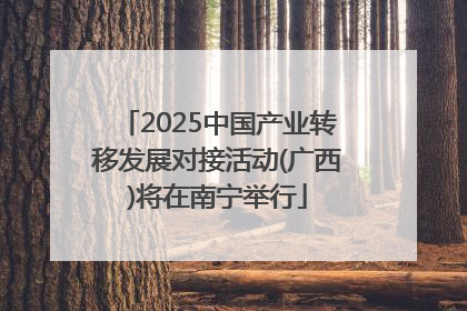 2025中国产业转移发展对接活动(广西)将在南宁举行