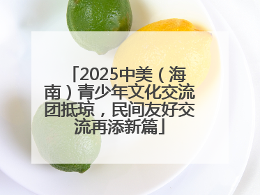 2025中美（海南）青少年文化交流团抵琼，民间友好交流再添新篇