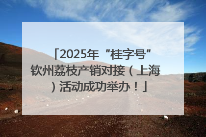 2025年“桂字号”钦州荔枝产销对接（上海）活动成功举办！