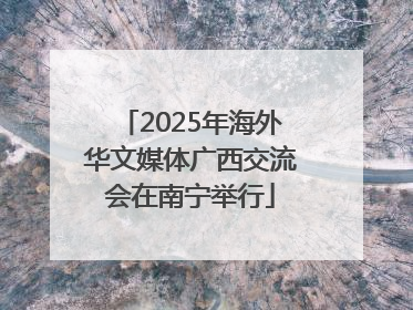 2025年海外华文媒体广西交流会在南宁举行