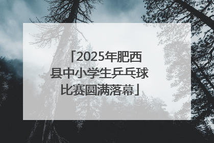 2025年肥西县中小学生乒乓球比赛圆满落幕