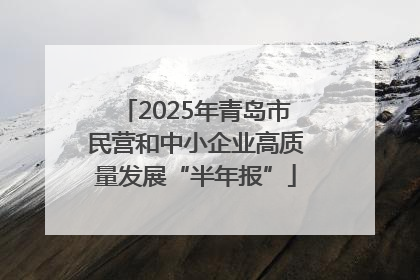 2025年青岛市民营和中小企业高质量发展“半年报”