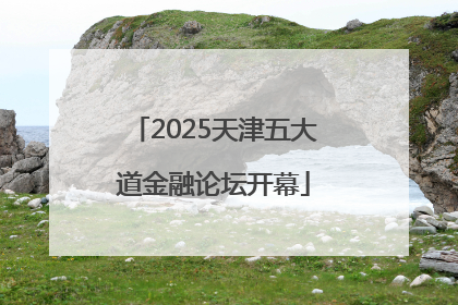 2025天津五大道金融论坛开幕