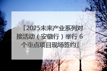 2025未来产业系列对接活动（安徽行）举行 6个重点项目现场签约