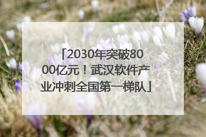 2030年突破8000亿元！武汉软件产业冲刺全国第一梯队