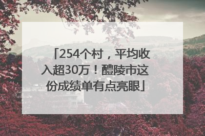 254个村，平均收入超30万！醴陵市这份成绩单有点亮眼