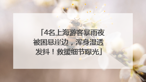 4名上海游客暴雨夜被困悬崖边，浑身湿透发抖！救援细节曝光