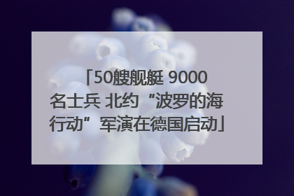 50艘舰艇 9000名士兵 北约“波罗的海行动”军演在德国启动