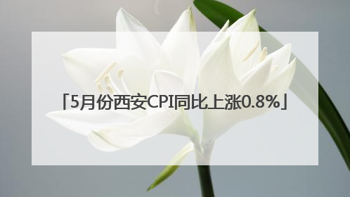 5月份西安CPI同比上涨0.8%