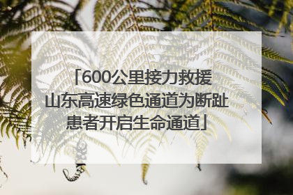 600公里接力救援 山东高速绿色通道为断趾患者开启生命通道