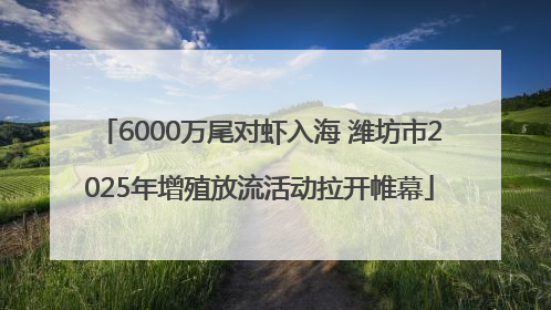 6000万尾对虾入海 潍坊市2025年增殖放流活动拉开帷幕