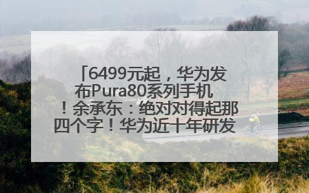6499元起，华为发布Pura80系列手机！余承东：绝对对得起那四个字！华为近十年研发投入12490亿元