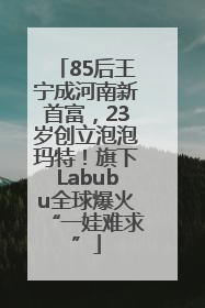 85后王宁成河南新首富，23岁创立泡泡玛特！旗下Labubu全球爆火“一娃难求”