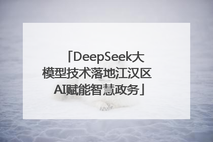 DeepSeek大模型技术落地江汉区 AI赋能智慧政务