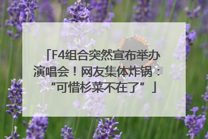 F4组合突然宣布举办演唱会！网友集体炸锅：“可惜杉菜不在了”