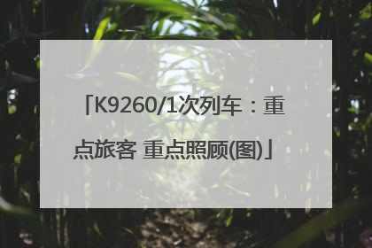 K9260/1次列车：重点旅客 重点照顾(图)