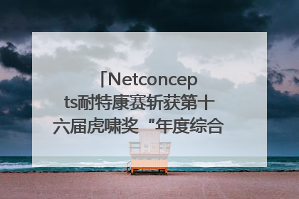 Netconcepts耐特康赛斩获第十六届虎啸奖“年度综合服务商”大奖