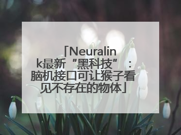 Neuralink最新“黑科技”：脑机接口可让猴子看见不存在的物体